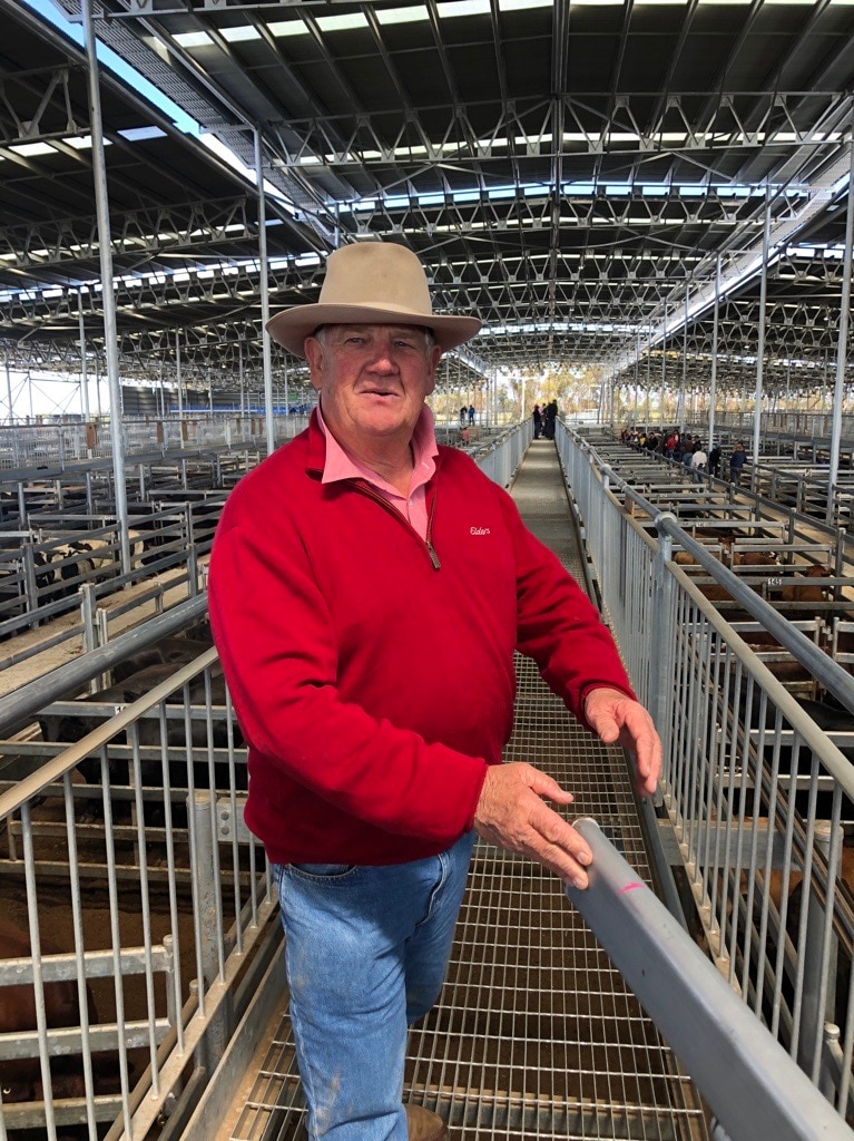 man in red jumper stands at saleyards