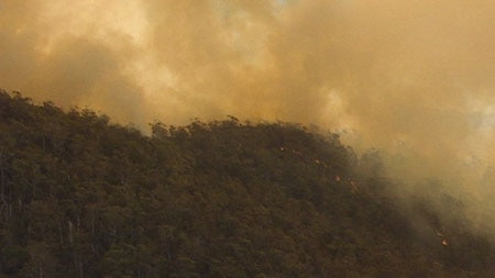 Up to 80 firefighters are battling a blaze on the east coast of Tasmania.
