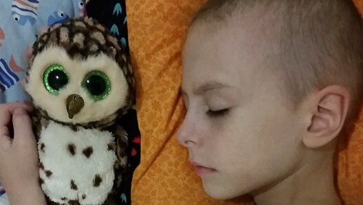 A young boy battling leukaemia sleeps with an owl beside him.