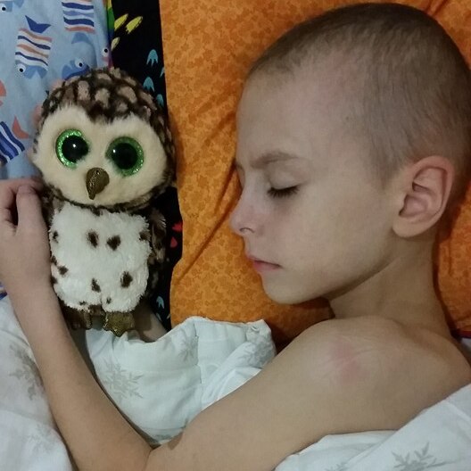 A young boy battling leukaemia sleeps with an owl beside him.