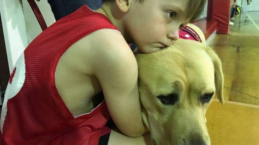 A young boy wears a red guernsey, he holds a yellow labrador which is supporting his head 