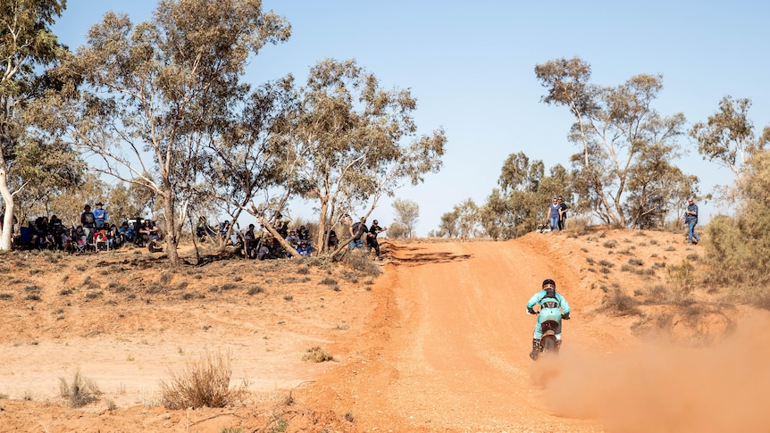 A lone motorbike rides off into the distance on a red dirt road edged by gum trees.