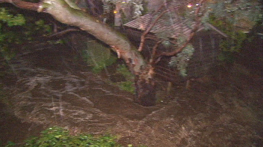 Floodwaters wreak havoc in Adelaide's inner south and on Fleurieu Peninsula