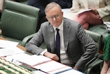 Anthony albanese wears a grey suit and leans on a table in the House of Representatives.