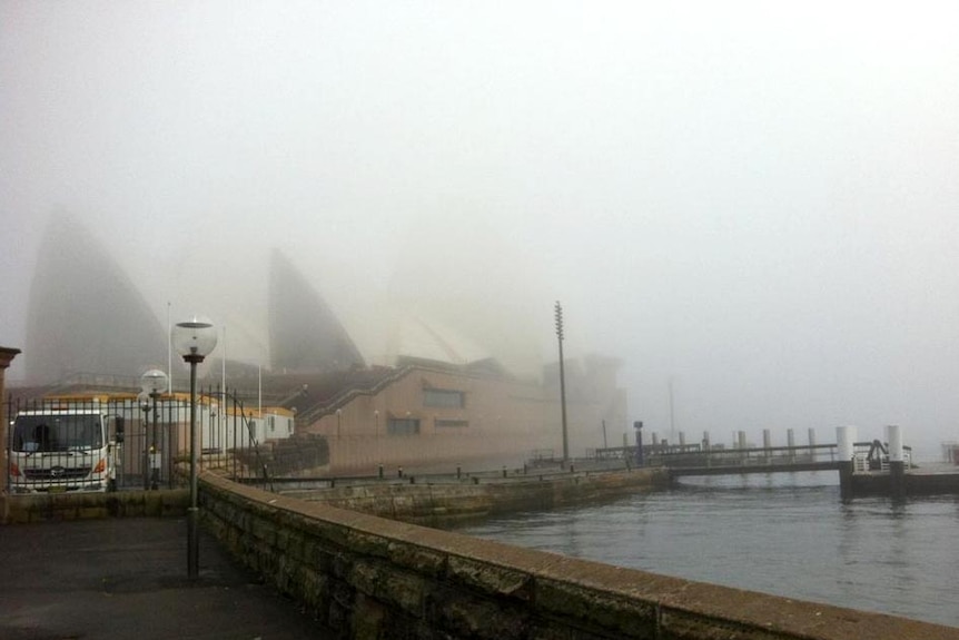 Foggy Sydney