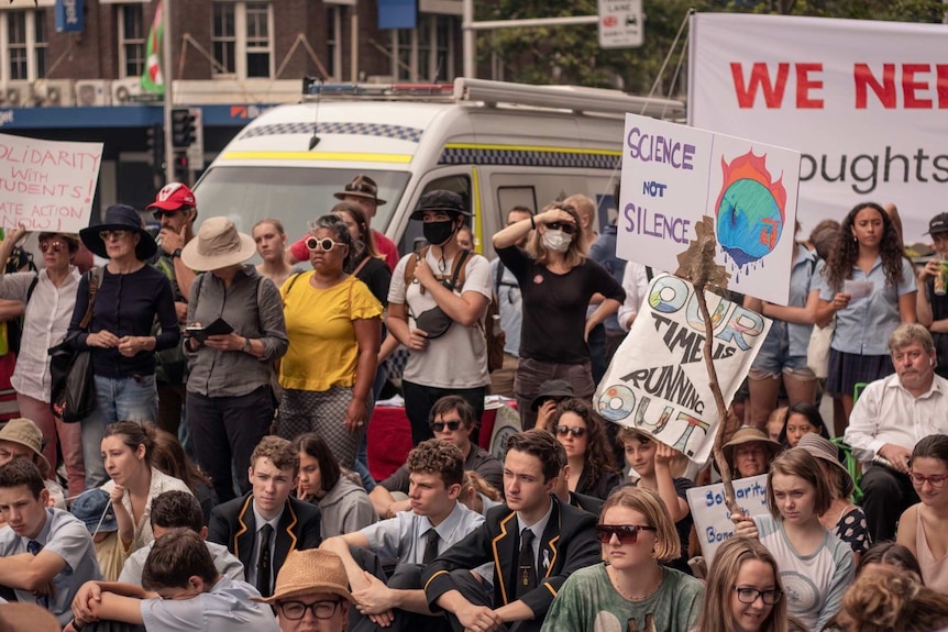 Dozens gather in a Sydney street holding placards.