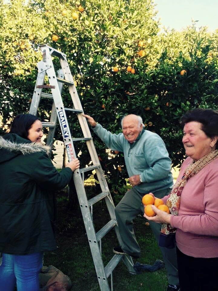 Two women and man standing near a ladder in a garden
