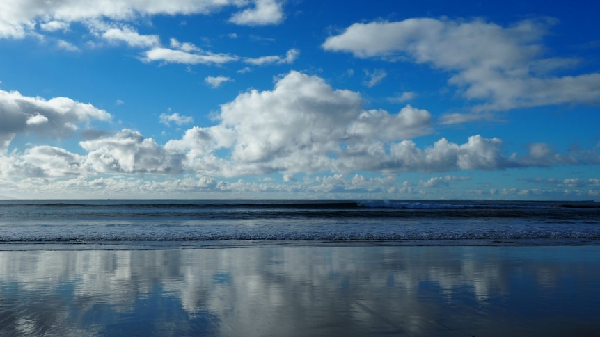 The clouds are reflected in the wet sand at the ocean on a sunny day.