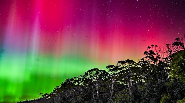 Pink and green lights of an Aurora Australis over water