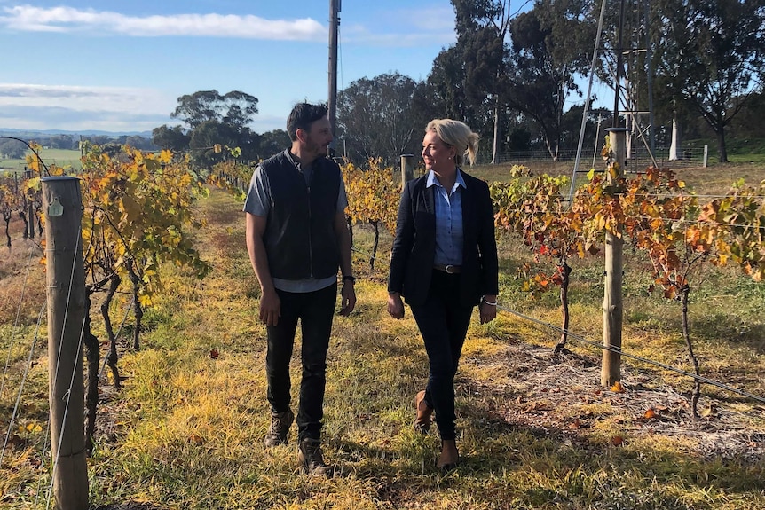 man in dark clothing walking next to woman in blue shirt with blonde hair in the middle of a vineyard