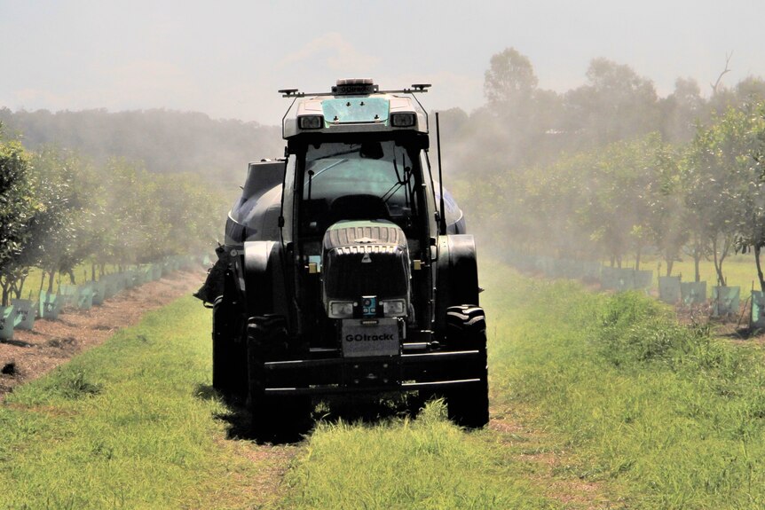 A driverless tractor operating on a Bundaberg macadamia farm.