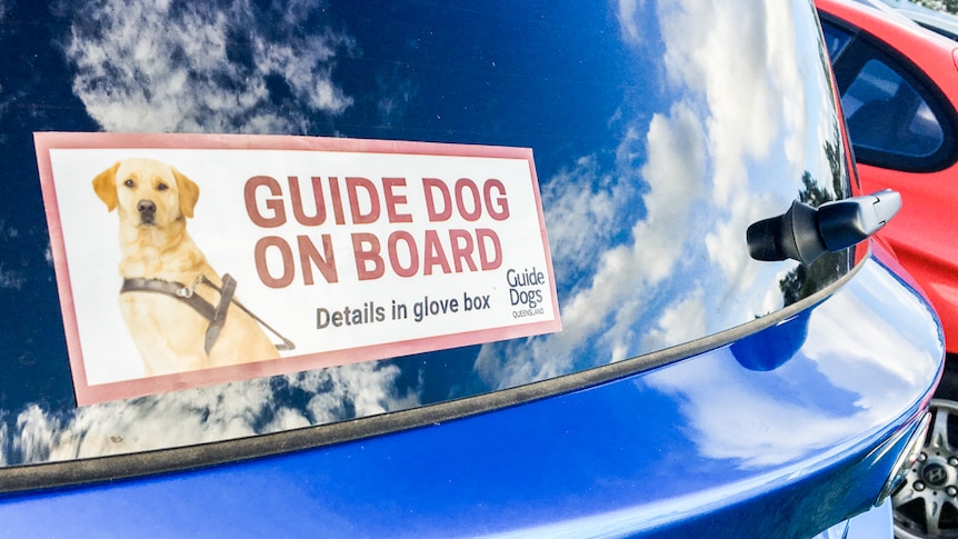 A bumper sticker on the back of a car.