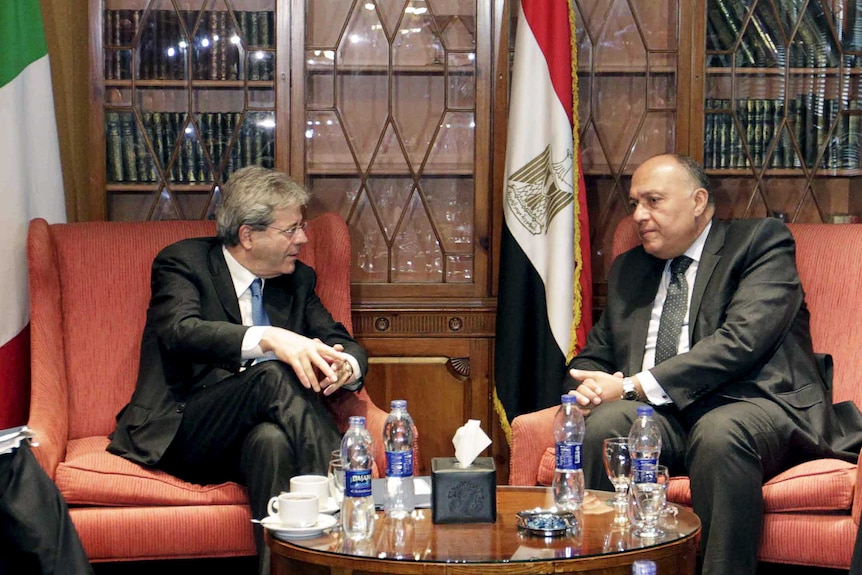 Egypt's foreign minister meets with his Italian counterpart