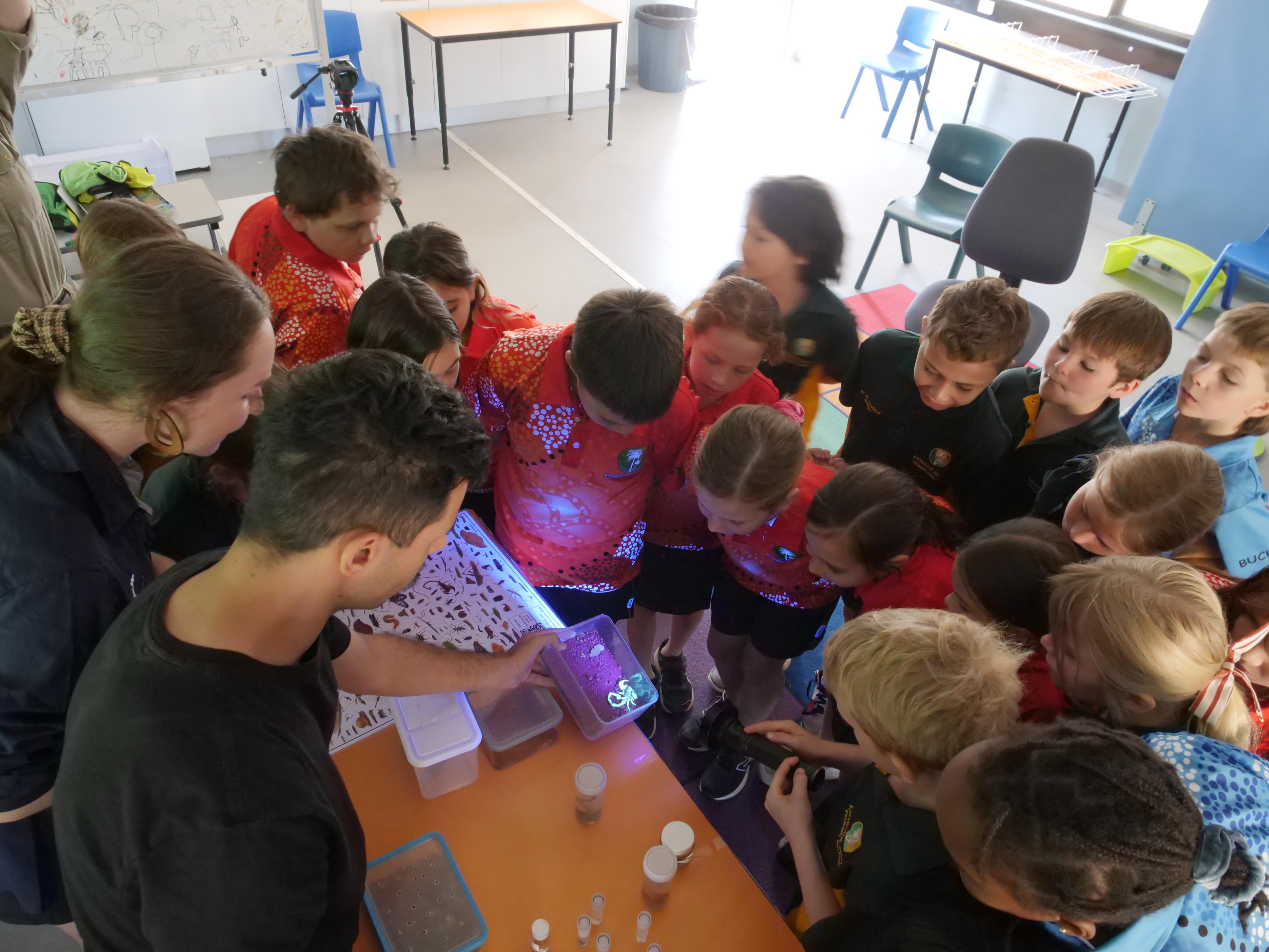 Schoolkids in a classroom watch as a scorpion in a tank glows under a UV light.