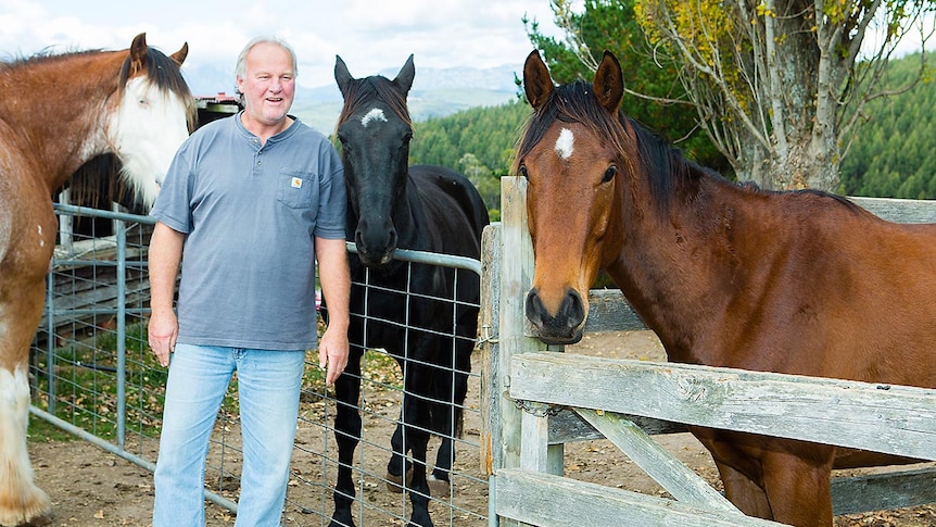 Martin Damo with three of his rescued horses