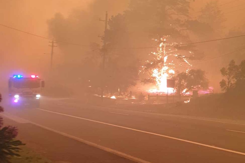 A tree on fire and a fire truck with lights on as Mogo is surrounded by orange smoke