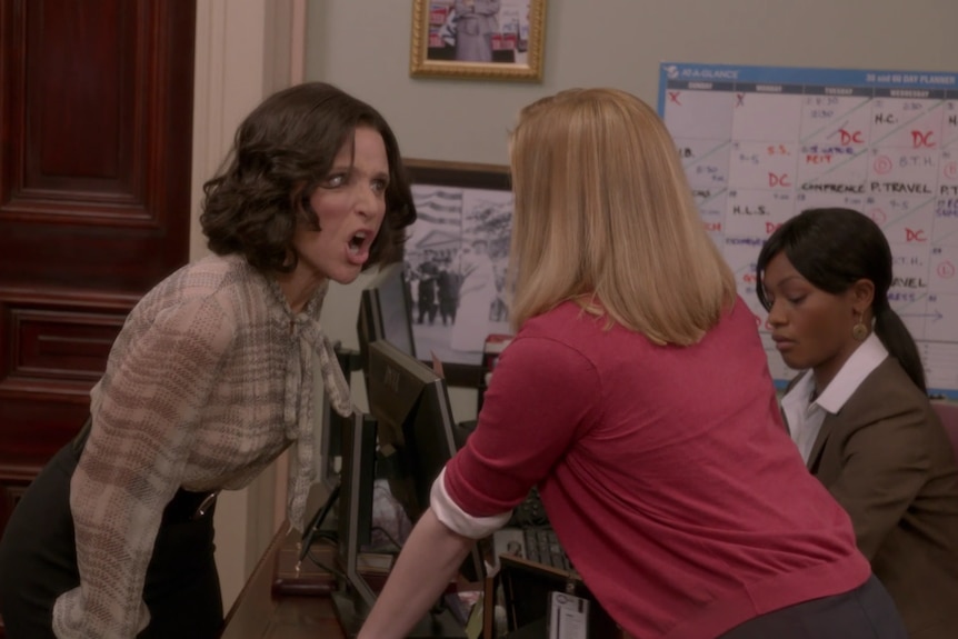 Selina Meyer, played by Julia Louis Dreyfus, rants to her staffer in an episode of Veep