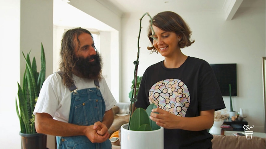 Man and woman looking at indoor house plant