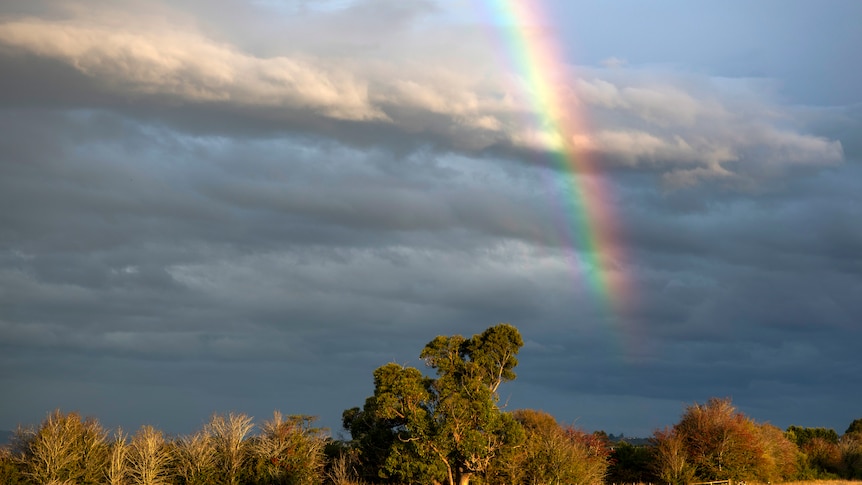 A landscape photo of a rainbow shining over a dry grassy paddock with bushland in the distance in golden light.