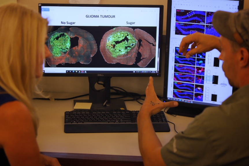 Two people sitting around a computer looking at a brain scan.