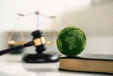 A small green sphere representing Earth on a law book, a gavel and scales in the background