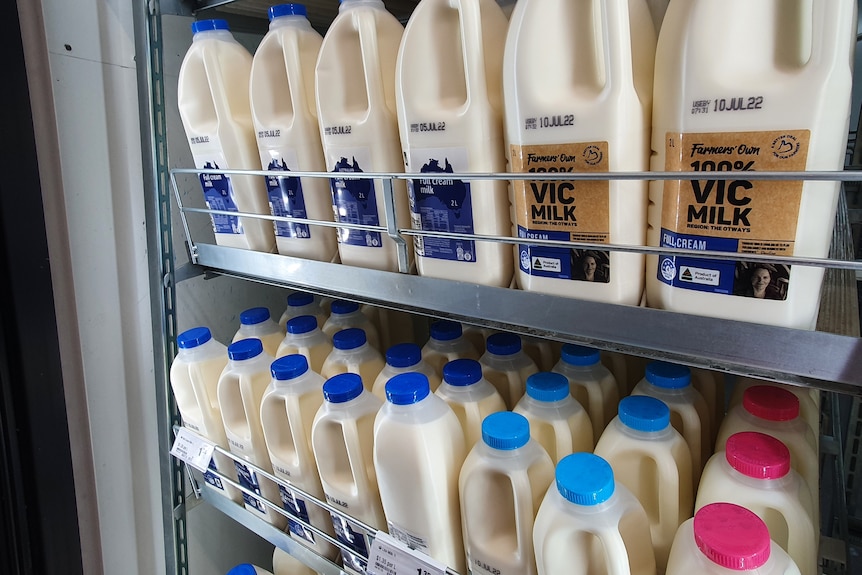 Supermarket fridge full of cheap no-brand milk.