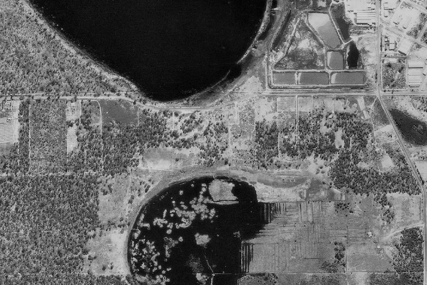 Aerial photograph of Beeliar Regional Park in 1974