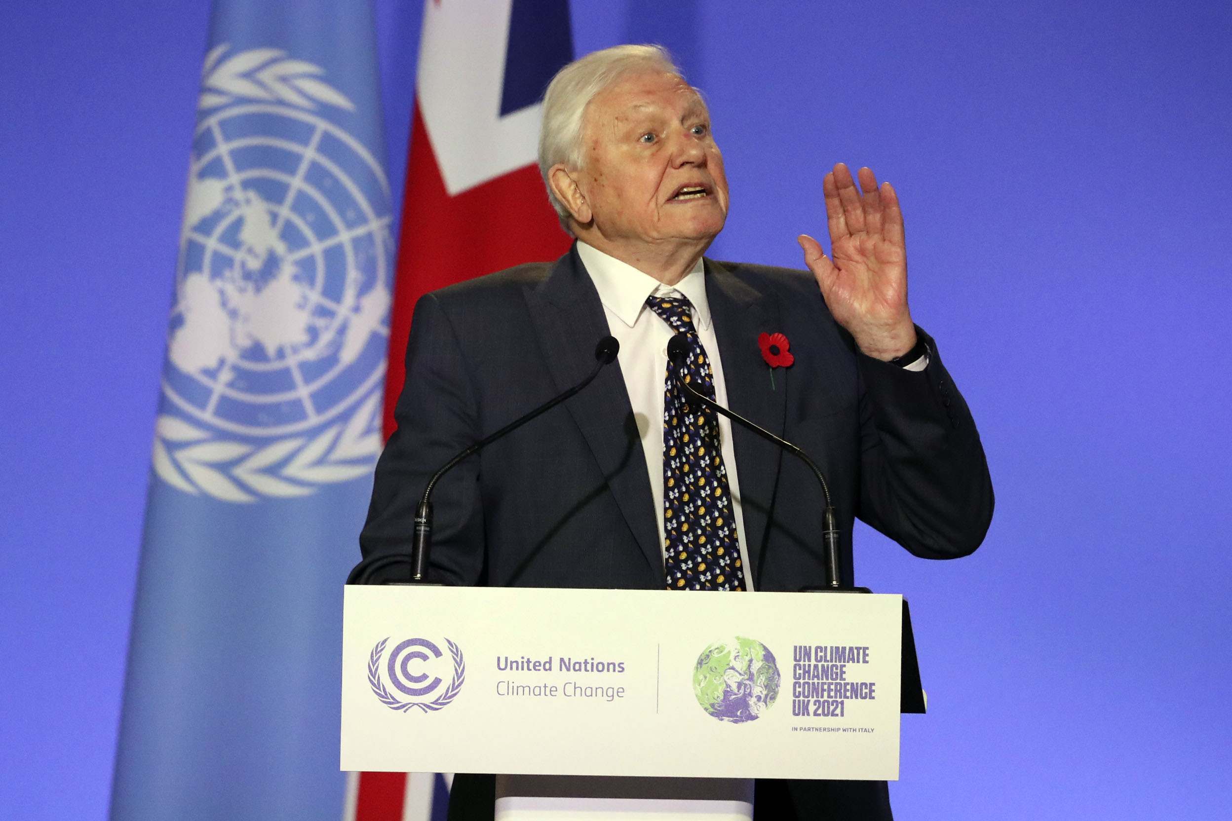 David Attenborough Addresses World Leaders At COP26 In Glasgow, Saying ...