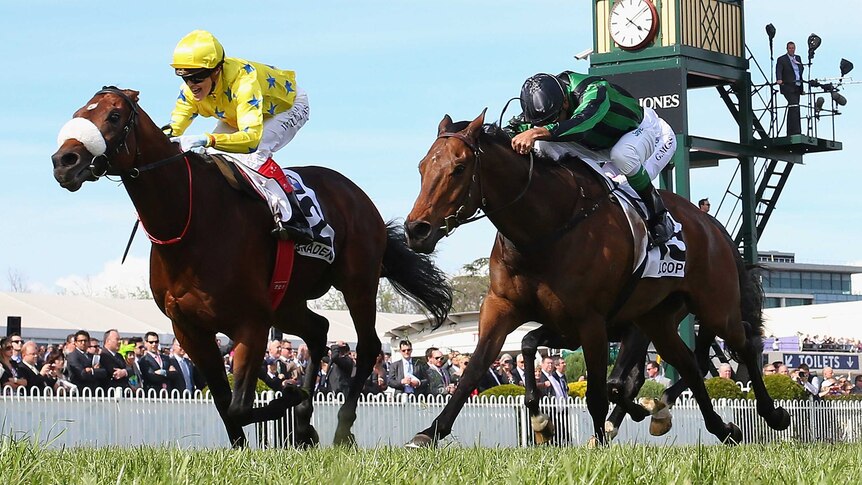 Dunaden's Caulfield Cup win has seen the stallion get a 1kg Melbourne Cup weight penalty.