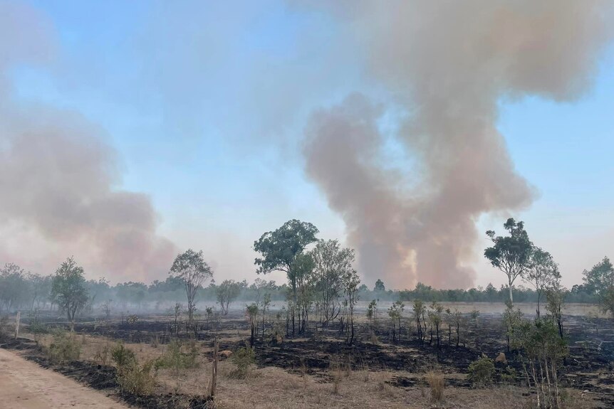 A paddock with large plumes of smoke in air and burnt black grass.