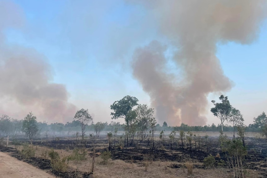 A paddock with large plumes of smoke in air and burnt black grass.