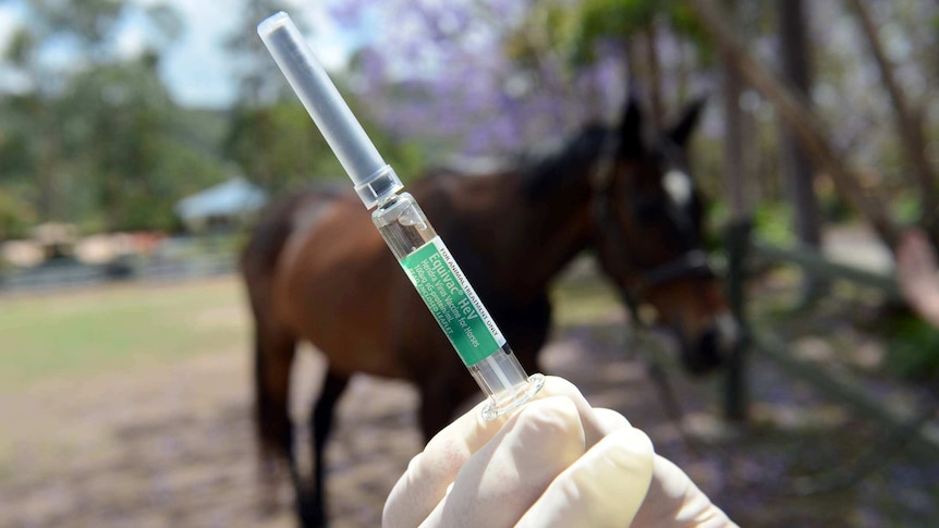 Hendra virus vaccine