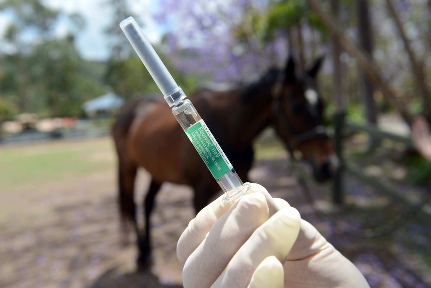 Hendra virus vaccine