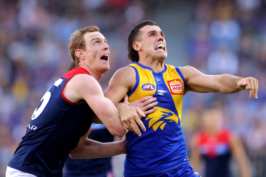 Two AFL players jostle for position.