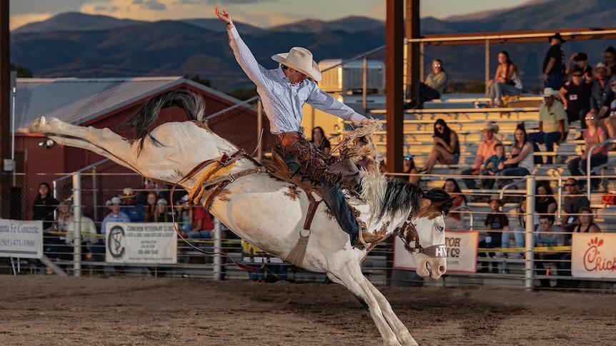 A man rides a white horse in a rodeo ring. He has one hand in the air