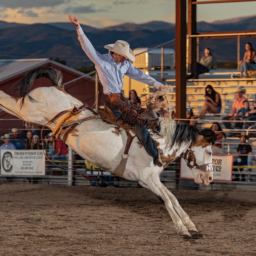 a man in a cowboy hat rides a bucking horse