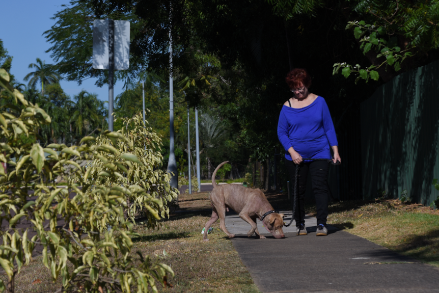 A woman in a bright blue shirt walks her dog down a street.