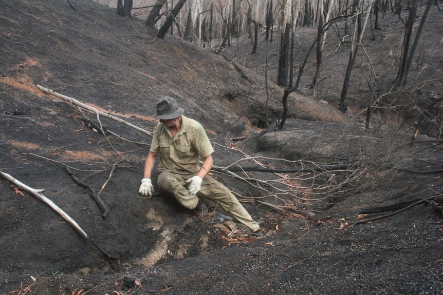 A man sitting on scorched black ground on his burnt property.
