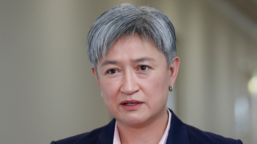 Penny Wong says annual aid to Solomon Islands is 28 per cent lower on average under the Coalition than it was under Labor. Is she correct? – ABC News