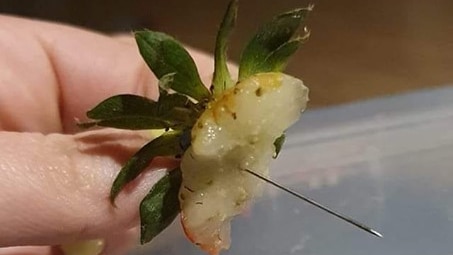 The top of a mostly-eaten strawberry with a needle poking through.