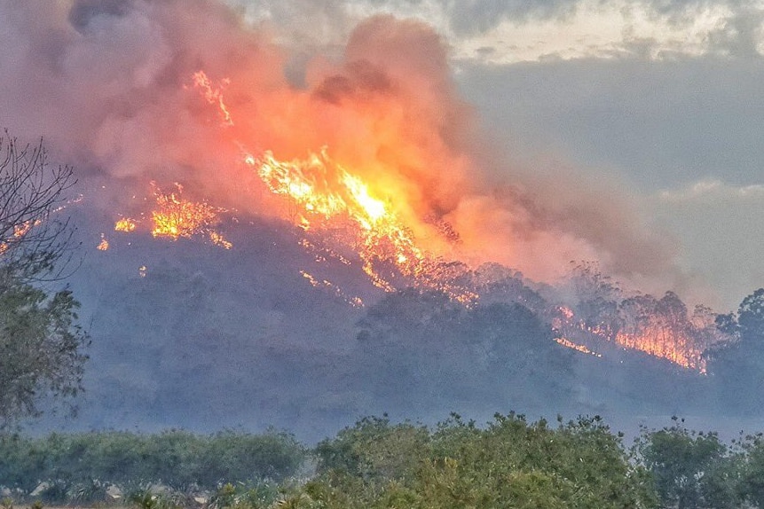 A fire burning trees on a hill in the distance.