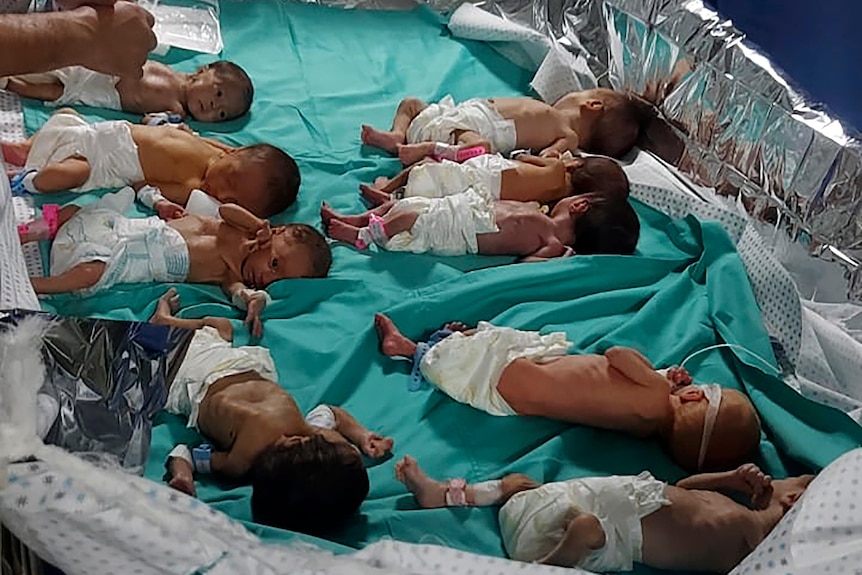a dozen of premature babies lying on a bright turquoise cloth