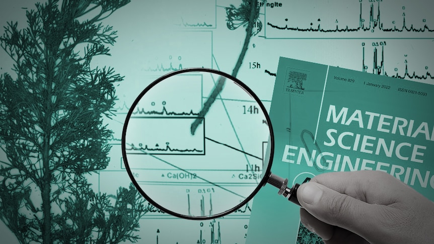 A designed image showing a magnifying glass being held over a graph, a plant and the cover of an academic journal.