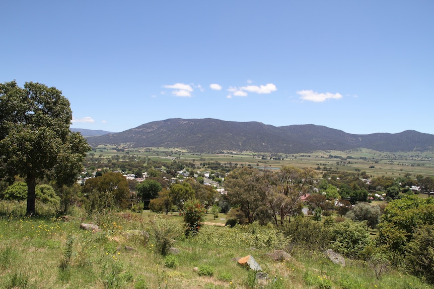 A green valley with a mountain the backdrop and houses on the flats below. 