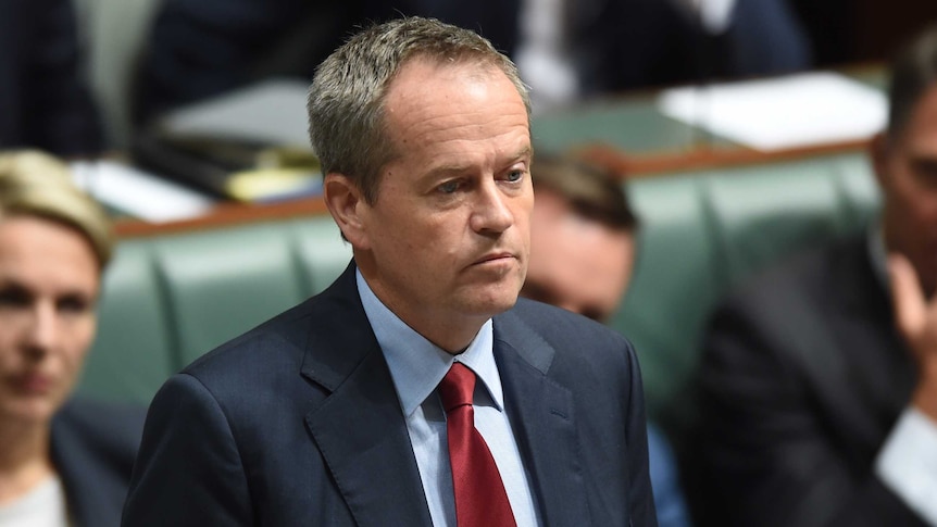 Bill Shorten during Question Time, May 12 2015