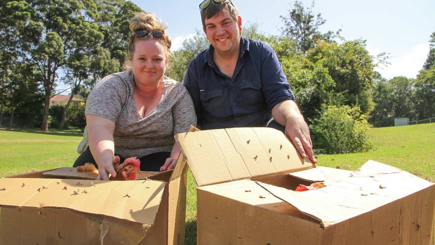 A happy couple share their glee as they anticipate getting their chickens home. They stand next to boxes of chickens.