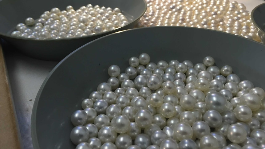 Pearls sorted into different grades at Cygnet Bay in the Kimberley