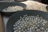 Pearls sorted into different grades at Cygnet Bay in the Kimberley