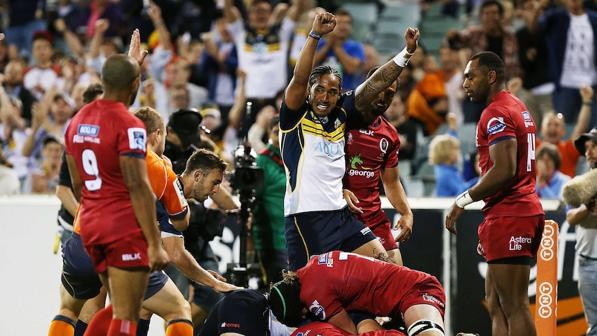 Night out ... The Brumbies celebrate one of their six tries against the Reds