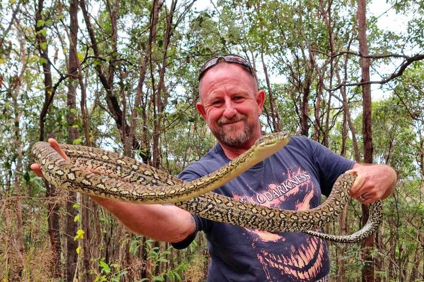 Man with blue shirt holding up a large carpet python snake.